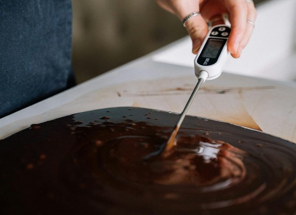 Le guide ultime du thermomètre de cuisine pour les gourmets